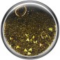 PopSockets PopTop Gen.2, tidepool Golden, zlaté trblietky v tekutine, výmenný vršok