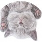PopSockets PopGrip Gen.2, Cat Nap, spiace mačiatko