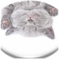 PopSockets PopGrip Gen.2, Cat Nap, spiace mačiatko