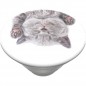 PopSockets PopGrip Gen.2, Cat Nap, spiace mačiatko