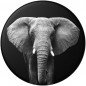 PopSockets PopGrip Gen.2, Loxodonta Africana, slon africký