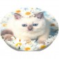 PopSockets PopTop Gen.2, Purr-fect Flower, mačiatko v kopretinách, výmenný vršok