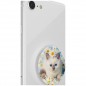 PopSockets PopTop Gen.2, Purr-fect Flower, mačiatko v kopretinách, výmenný vršok