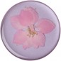 PopSockets PopGrip Gen.2, Pressed Flower Delphinium Pink, ružový kvietok zaliaty v živici