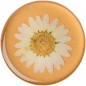 PopSockets PopGrip Gen.2, Pressed Flower White Daisy, biely kvietok zaliaty v živici