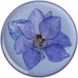 PopSockets PopGrip Gen.2, Pressed Flower Larkspur Purple, fialový kvietok zaliaty v živici