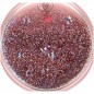 PopSockets PopTop Gen.2, tidepool Rosé, ružové trblietky v tekutine, výmenný vršok