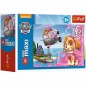 Minipuzzle Minimax 20 dielikov Paw Patrol / Tlapková patrola 4 druhy