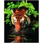 Maľovanie podľa čísel Tiger pri vode s akrylovými farbami a štetcom