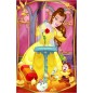 Trefl Minipuzzle Krásne princezné/Disney Princess 54dielikov 4 druhy