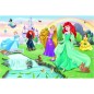 Trefl Puzzle Spoznajte princezné 60 dielikov