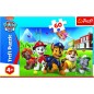 Trefl Puzzle Paw Patrol v tráve 60 dielikov