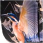 Volnočasový batoh BAAGL eARTh - Kingfisher od Caer8th