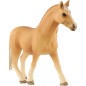 Kôň domáci palomino zooted