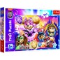 Puzzle Zoznámte sa s mocnými šteňatami Paw Patrol/Tlapková patrola 100 dielikov