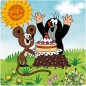 Puzzle baby Krtko na lúke 3 obrázky 12 dielikov