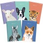 Štvorčekový zošit Oxford Animal A5/32 listov, mix
