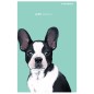 Štvorčekový zošit Oxford Animal A5/32 listov, mix