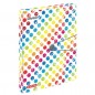 Box na zošity A4 SW Rainbow