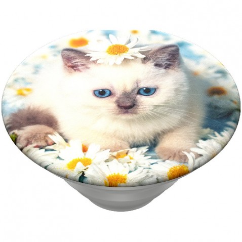 PopSockets PopTop Gen.2, Purr-fect Flower, mačiatko v kopretinách, výmenný vršok