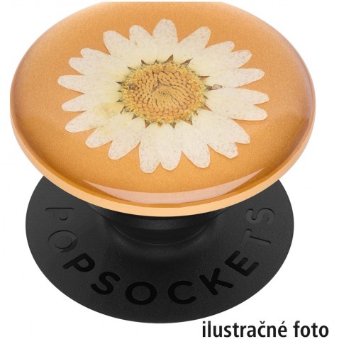 PopSockets PopGrip Gen.2, Pressed Flower White Daisy, biely kvietok zaliaty v živici