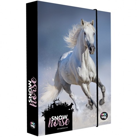 Box na zošity A4 Jumbo snow horse