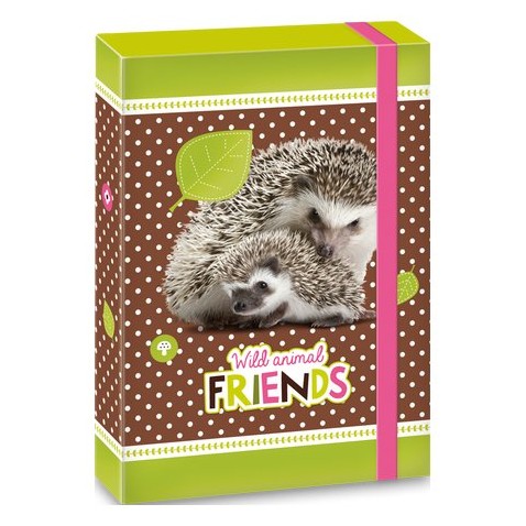 Ars Una Box na zošity Hedgehog ježko A5