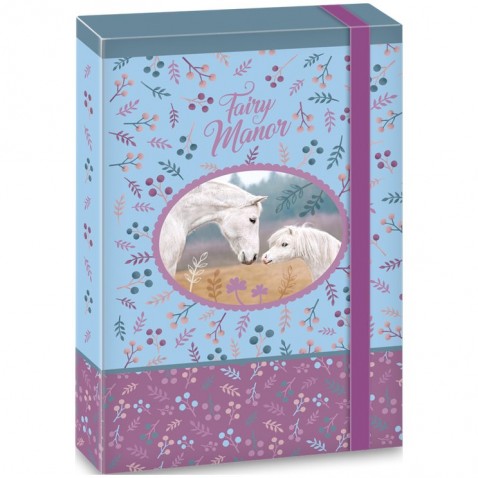 Box na zošity Fairy Manor A5