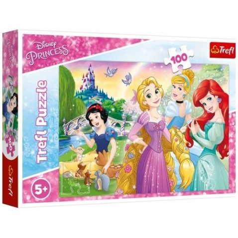 Puzzle Disney princezny - Sen o princeznej 100 dielikov