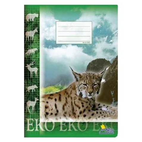 Zošit školský 425 EKO štvorček