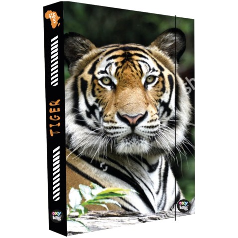 Box na zošity A4 Jumbo Tiger