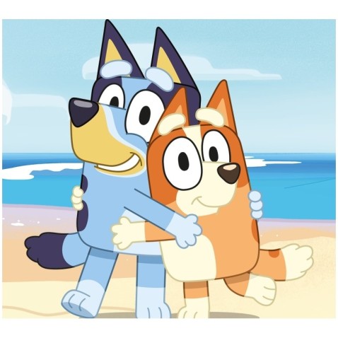 Fleecová deka pre deti Bluey