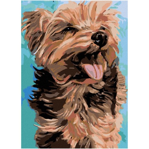 Maľovanie podľa čísel - VESELÝ YORKSHIRE