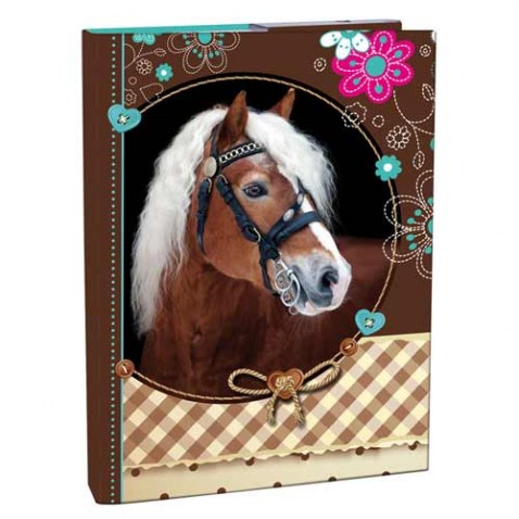 Box na zošity A4 Sweet Horse