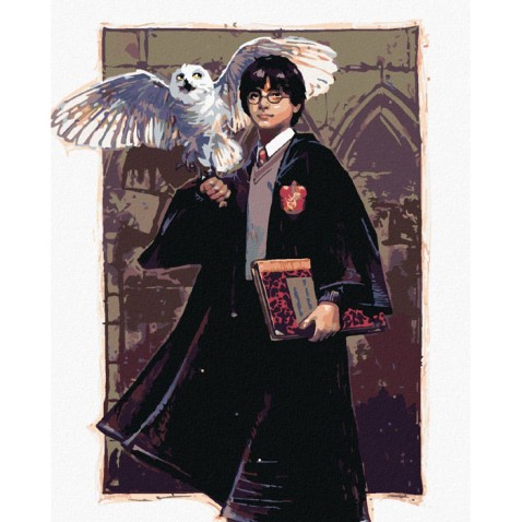 Zuty Maľovanie podľa čísel na ráme - HARRY POTTER A HEDVIKA V BRADAVICIACH