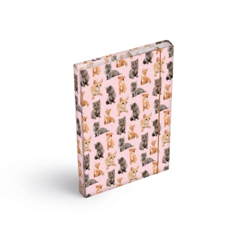 Dosky na zošity A4 Mačky