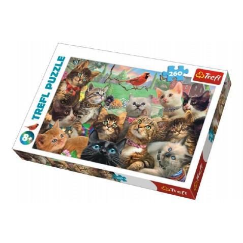 Puzzle Mačky 260 dielikov