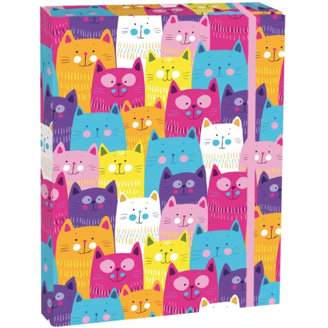 Box na zošity A5 Kittens