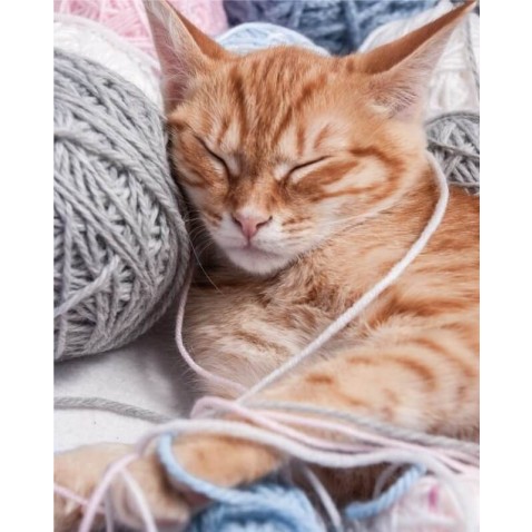 Mikroflanelová deka Mačka klbko