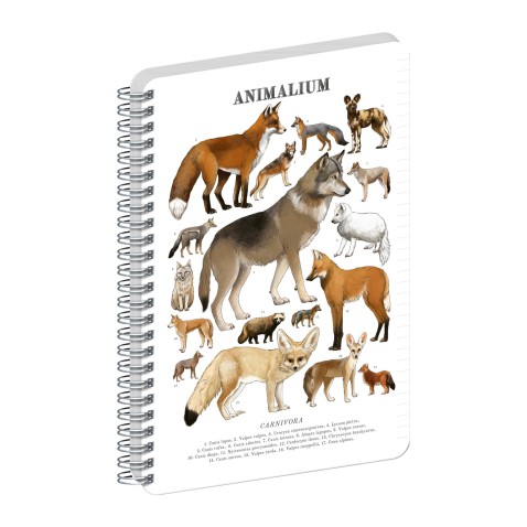 NOTIQUE Špirálový blok Animalium – Psovité šelmy, linajkovaný, A4