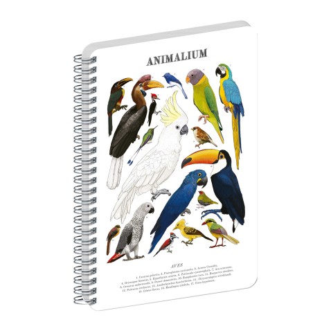 NOTIQUE Špirálový blok Animalium – Vtáky, čistý, A4