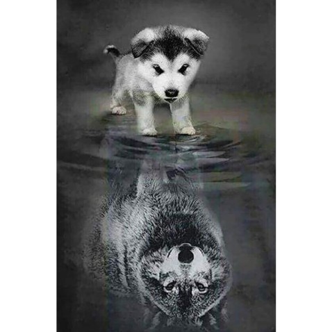 Diamantové maľovanie - Pes a vlk v odraze na ráme 40x50 cm