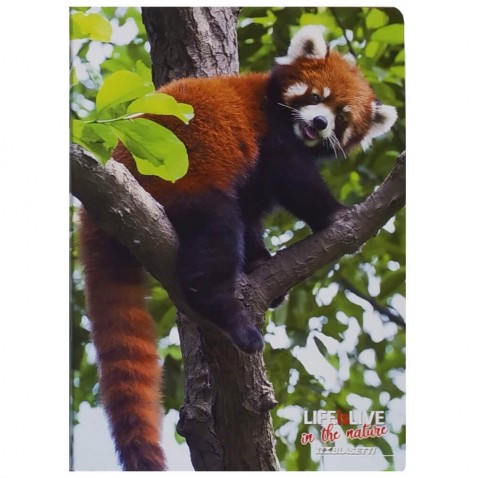 Školský zošit 544 Crazy Červená panda
