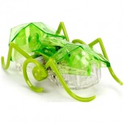 HEXBUG Micro Ant zelený