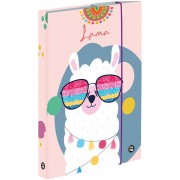 Box na zošity A5 Jumbo Lama