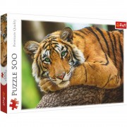Puzzle Portrét tigra 500 dielikov
