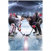 Osuška Ľadový hokej