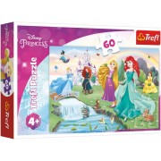 Trefl Puzzle Spoznajte princezné 60 dielikov