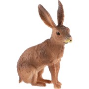 Zajac poľný zooted
