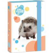 Box na zošity Cute Animals ježko A5